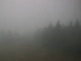 14 : 20
