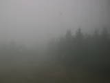 14 : 28