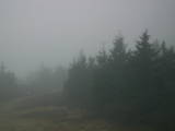 08 : 14