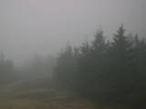 08 : 20