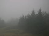 08 : 50