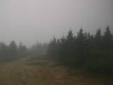 13 : 48