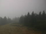 16 : 04