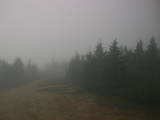 16 : 20
