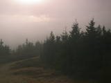 17 : 36