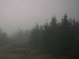 17 : 52