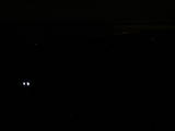 21 : 16