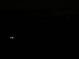 21 : 24