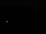 21 : 44