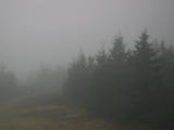 07 : 36