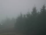 18 : 18