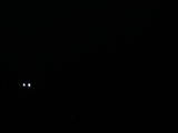 19 : 06