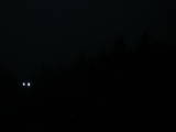 06 : 28