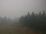 15 : 56