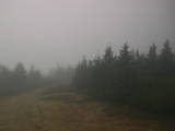16 : 20