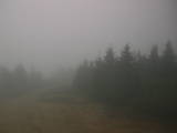 16 : 48