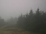 17 : 28