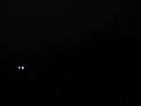 19 : 02