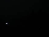 19 : 04