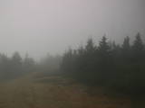 13 : 28