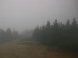 15 : 32