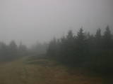 15 : 40