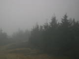 17 : 12