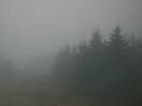 07 : 36
