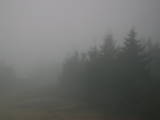 07 : 44