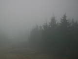 07 : 52