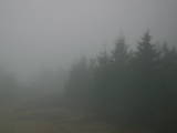 08 : 02