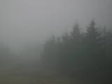 08 : 04
