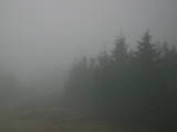 08 : 06
