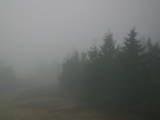 08 : 16