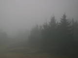 08 : 18