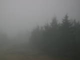 08 : 20