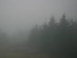 08 : 24