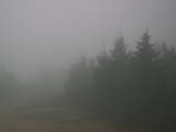 08 : 30