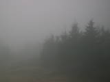 08 : 36