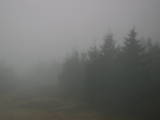 08 : 44
