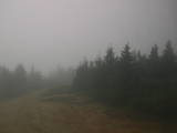 15 : 20
