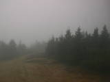 15 : 28