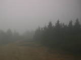 16 : 20