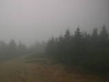 16 : 24
