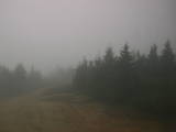16 : 28