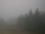 17 : 04