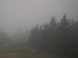 17 : 16