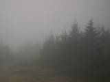 17 : 24