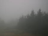 17 : 28