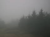 17 : 32